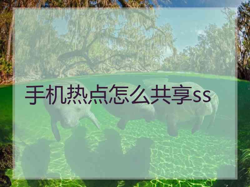 手机热点怎么共享ss