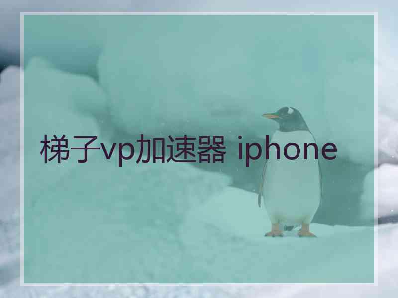 梯子vp加速器 iphone