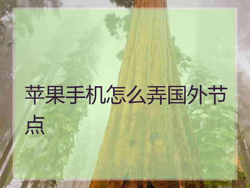 苹果手机怎么弄国外节点