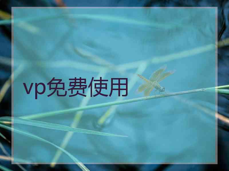 vp免费使用