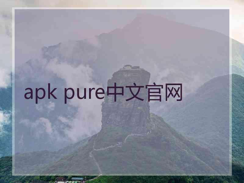 apk pure中文官网