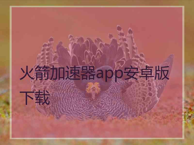 火箭加速器app安卓版下载