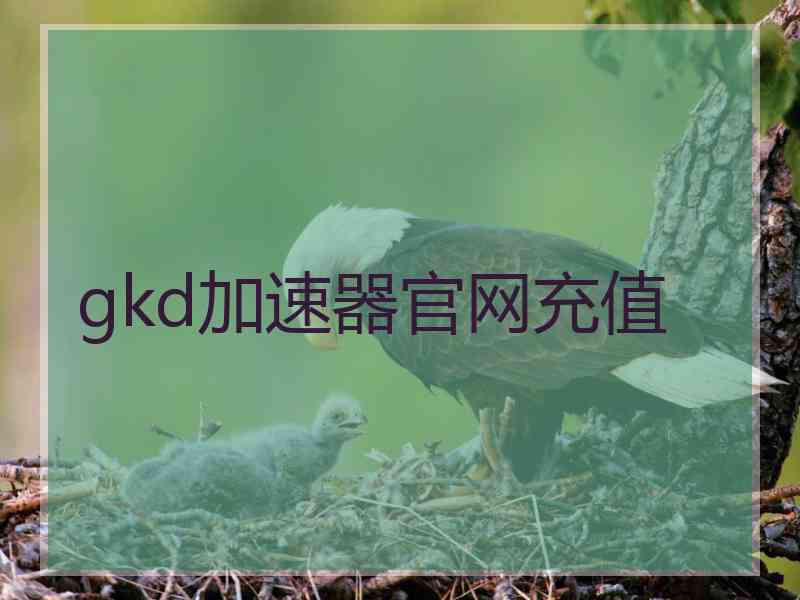 gkd加速器官网充值