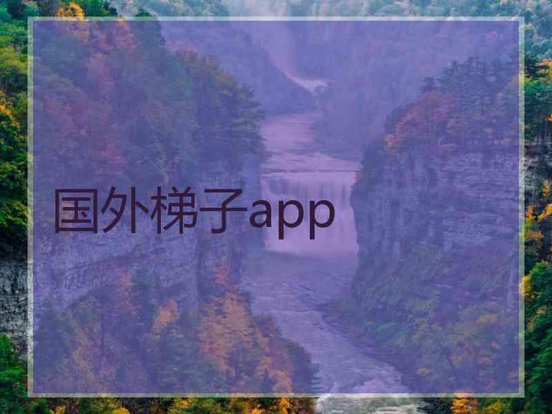 国外梯子app