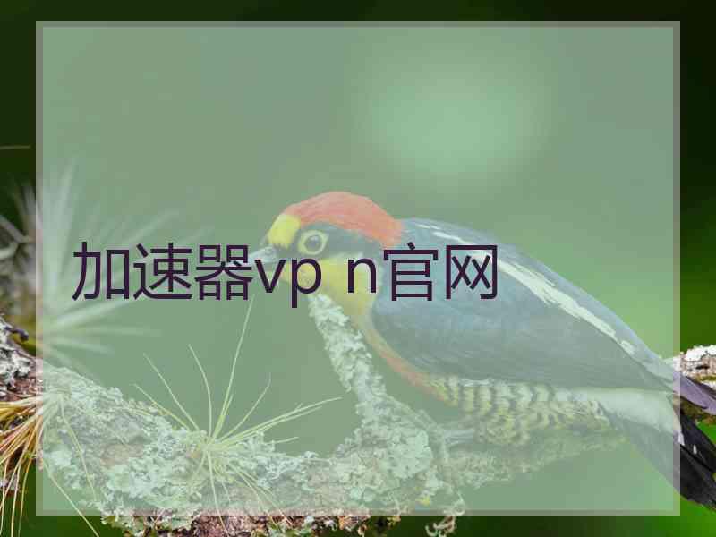 加速器vp n官网