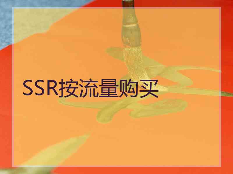 SSR按流量购买