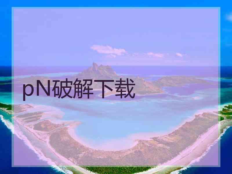 pN破解下载