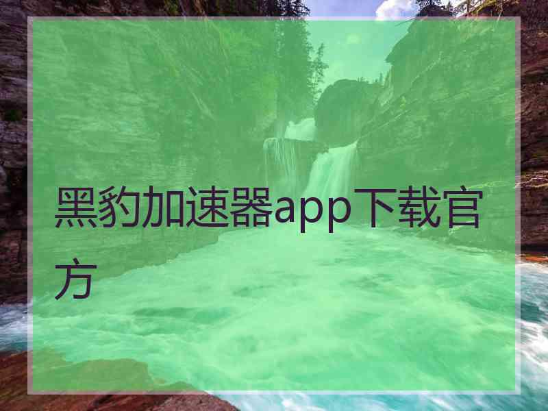 黑豹加速器app下载官方