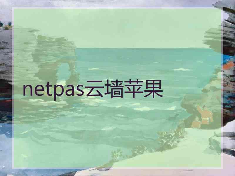 netpas云墙苹果