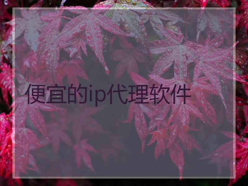 便宜的ip代理软件