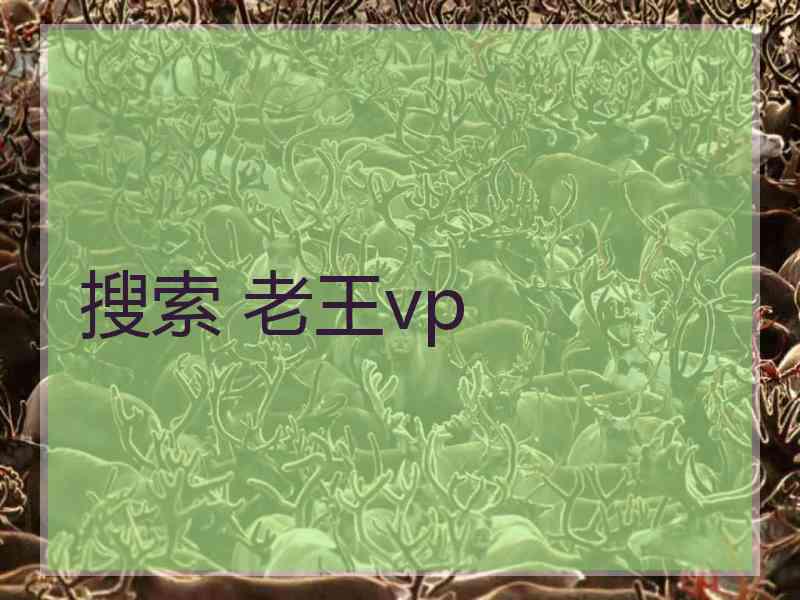 搜索 老王vp