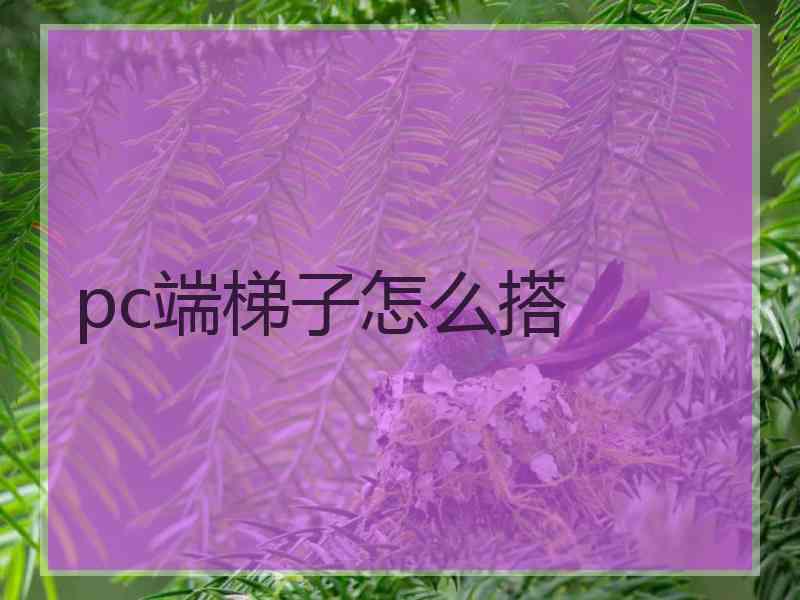 pc端梯子怎么搭