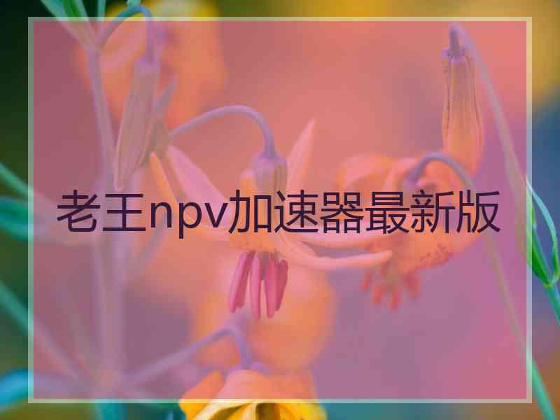 老王npv加速器最新版