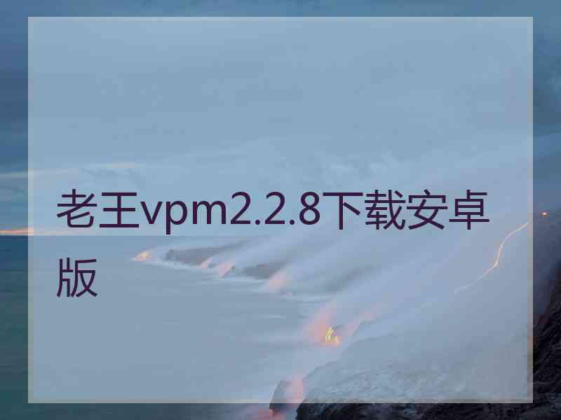 老王vpm2.2.8下载安卓版