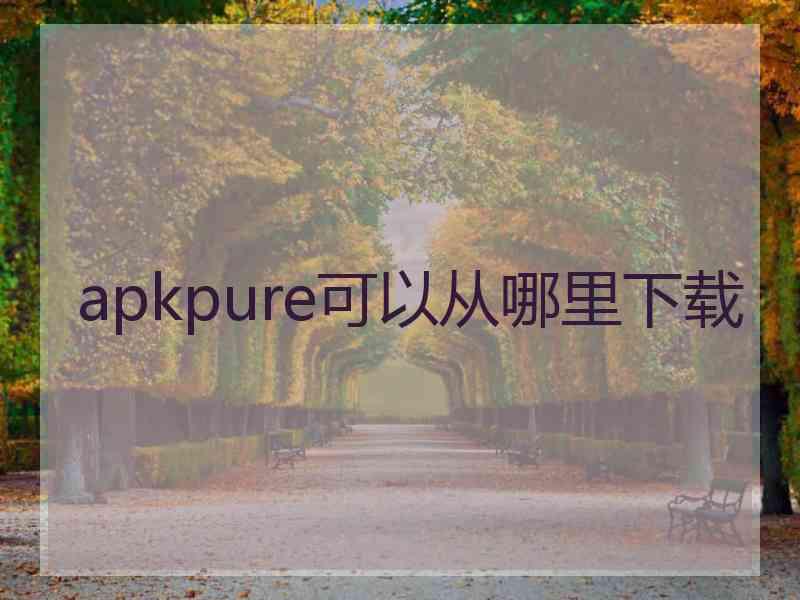 apkpure可以从哪里下载