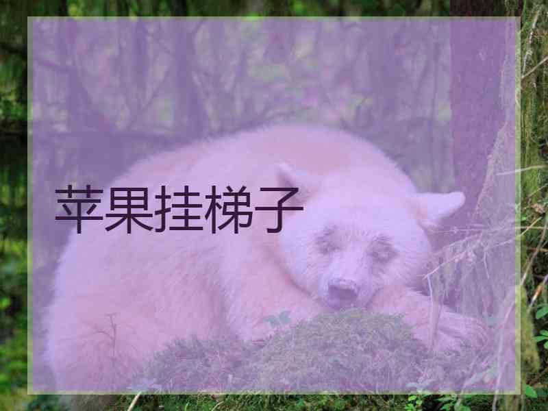 苹果挂梯子