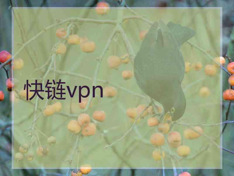 快链vpn