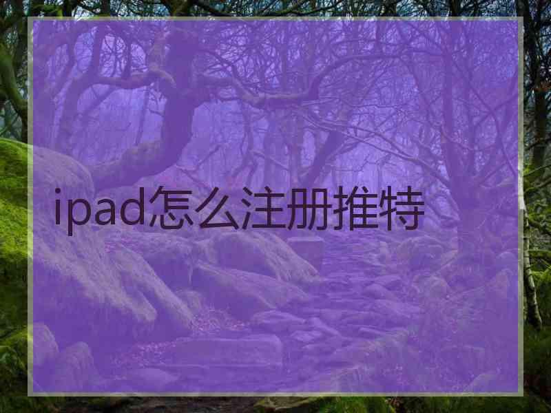 ipad怎么注册推特