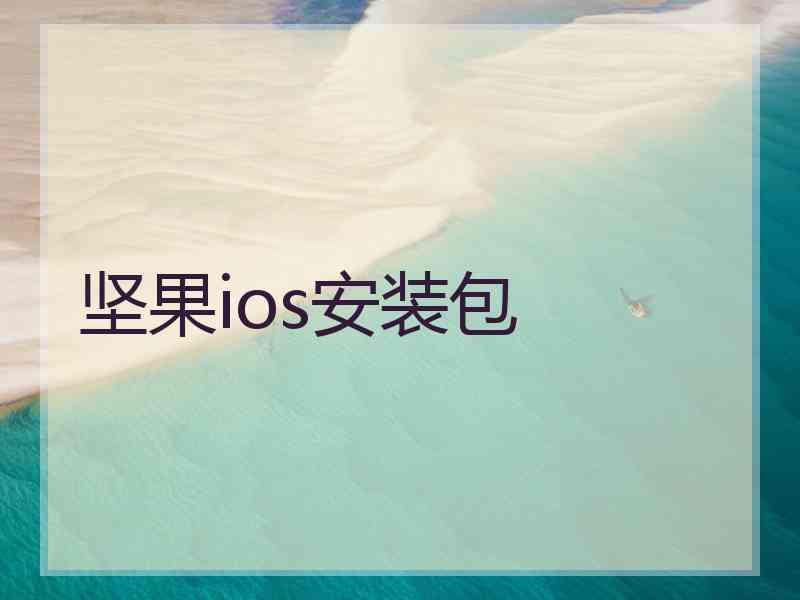 坚果ios安装包