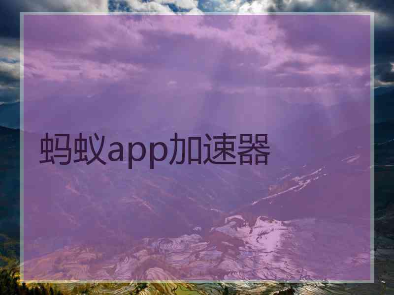 蚂蚁app加速器