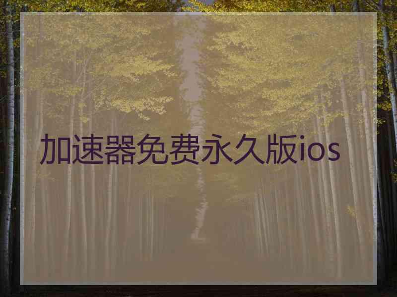 加速器免费永久版ios