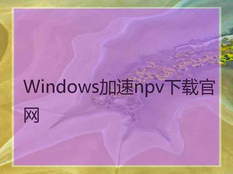 Windows加速npv下载官网