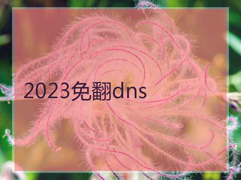 2023免翻dns