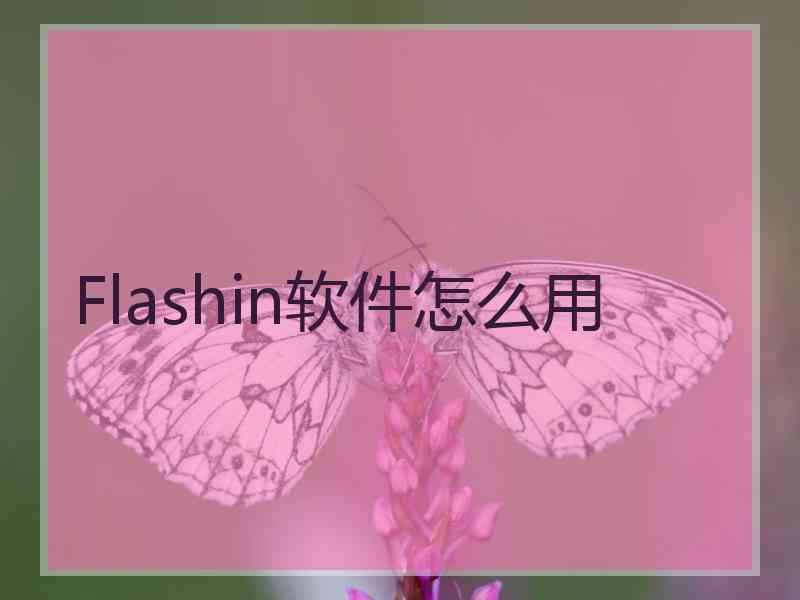 Flashin软件怎么用