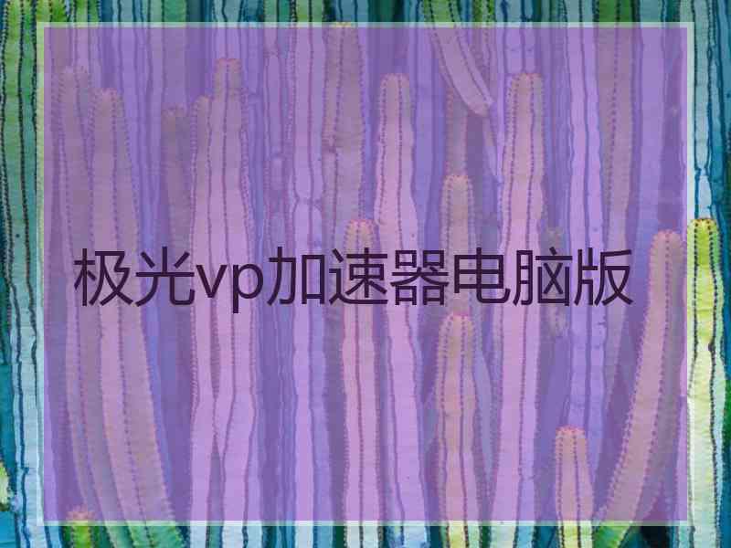 极光vp加速器电脑版