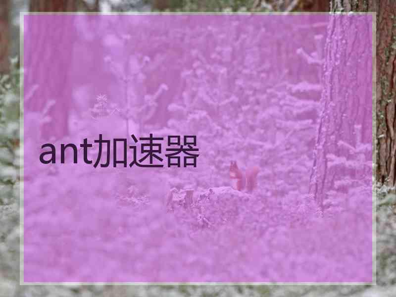 ant加速器