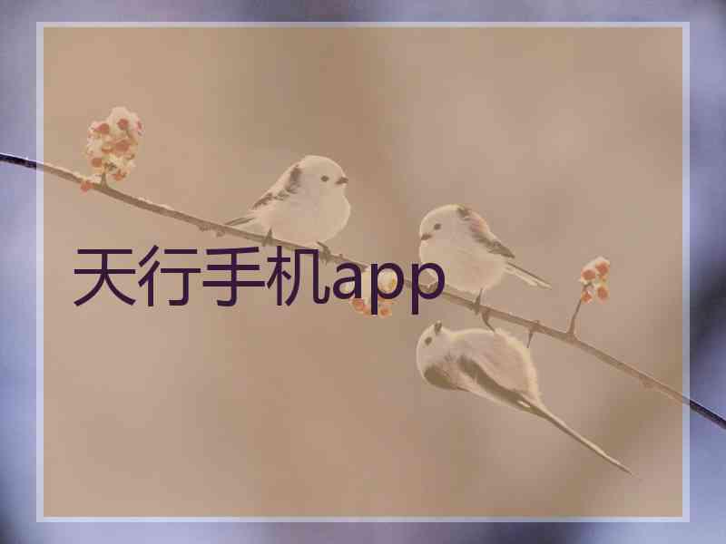 天行手机app