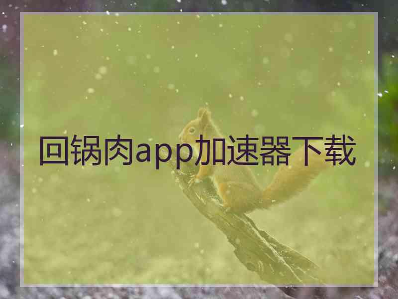 回锅肉app加速器下载