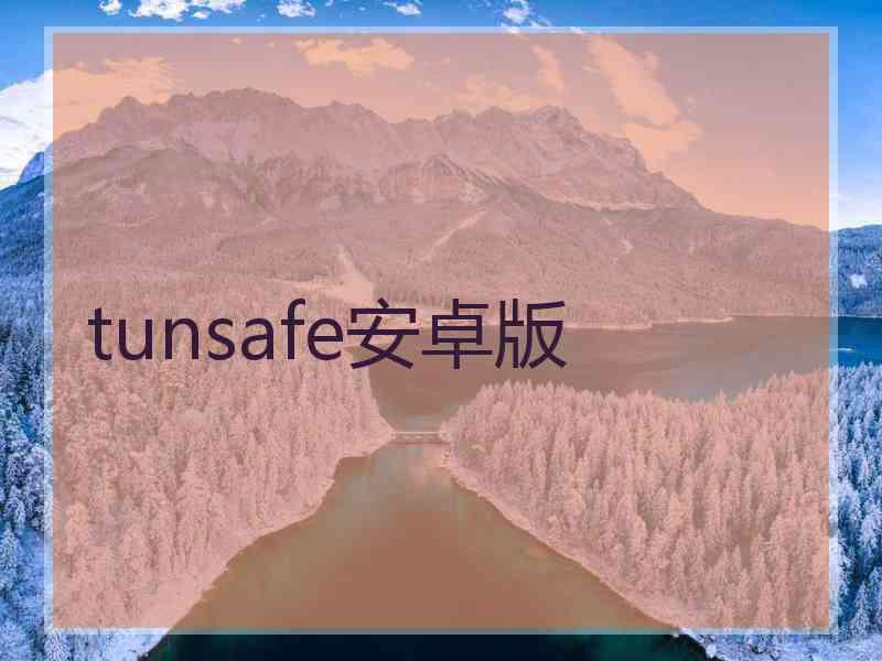 tunsafe安卓版