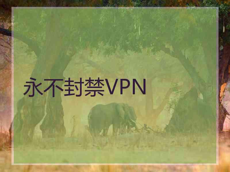 永不封禁VPN