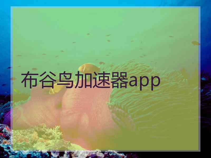 布谷鸟加速器app