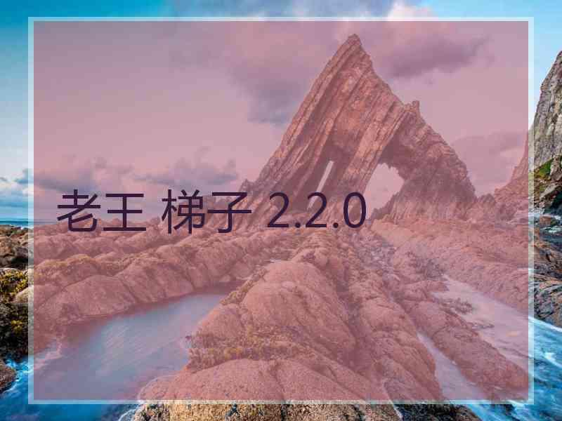 老王 梯子 2.2.0