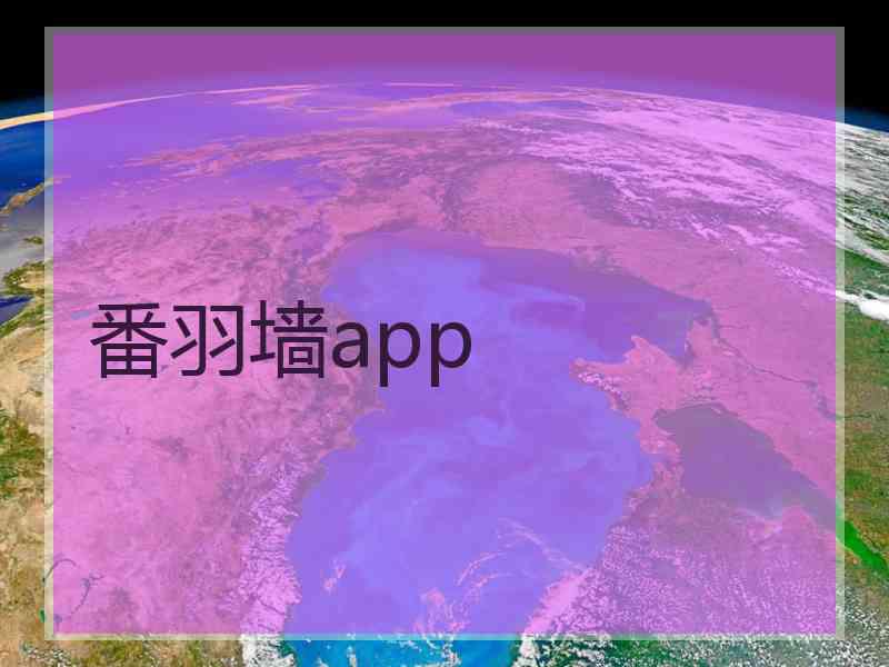 番羽墙app