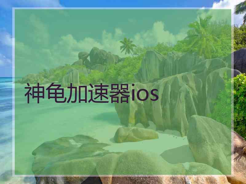 神龟加速器ios