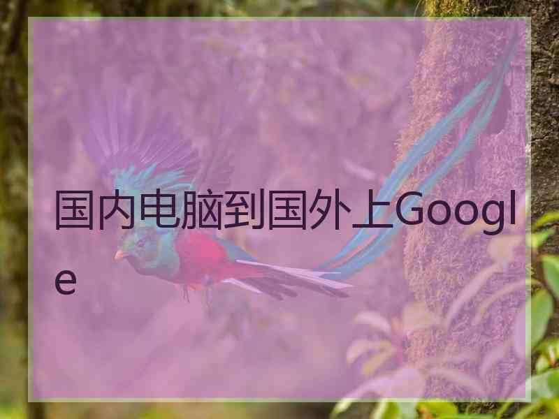 国内电脑到国外上Google