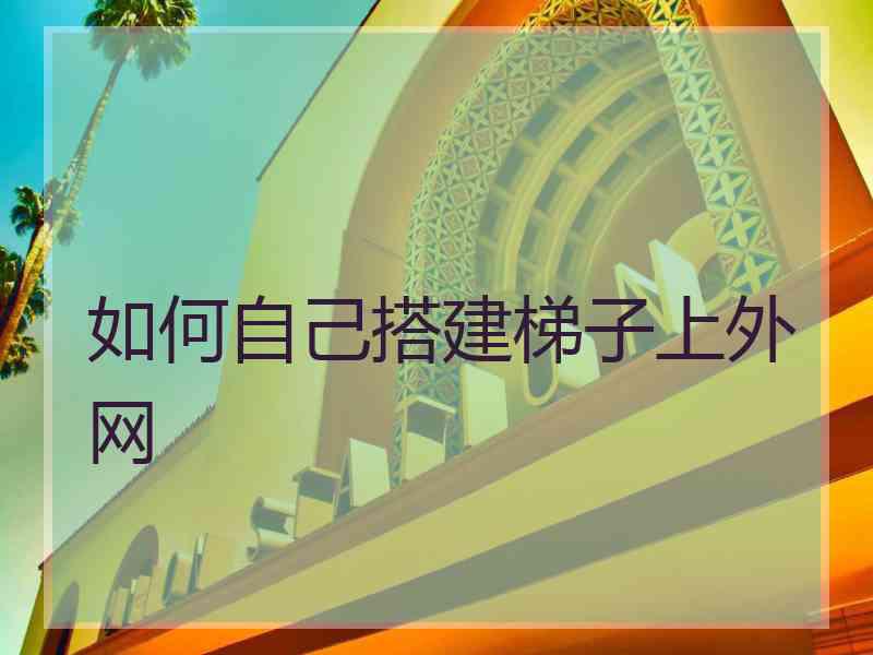 如何自己搭建梯子上外网