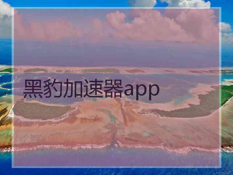 黑豹加速器app