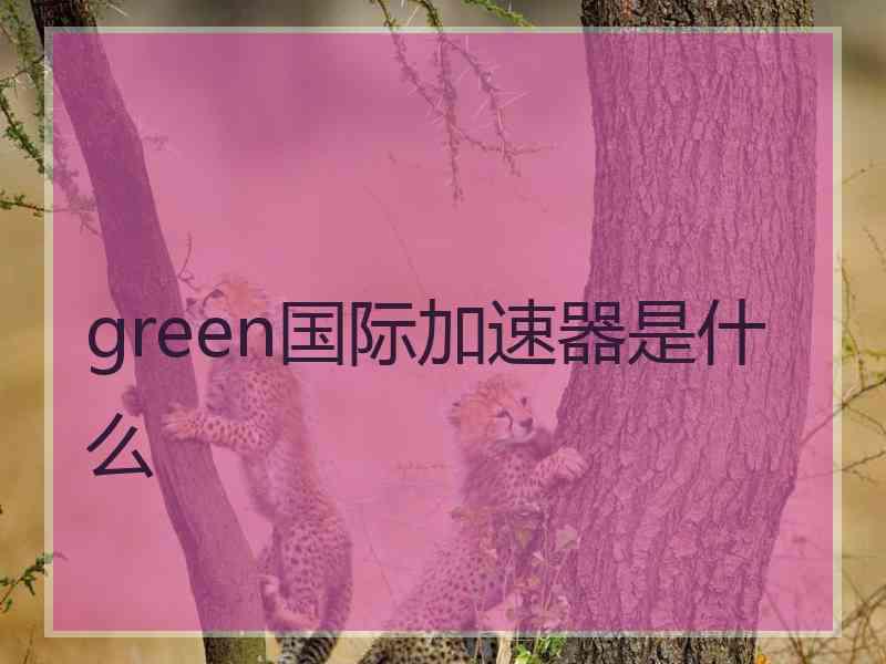 green国际加速器是什么