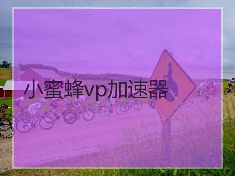 小蜜蜂vp加速器