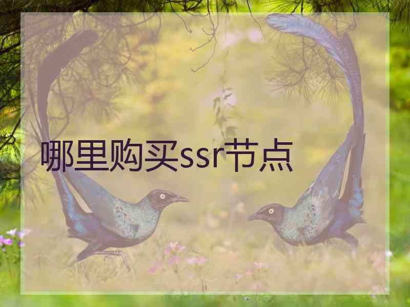 哪里购买ssr节点