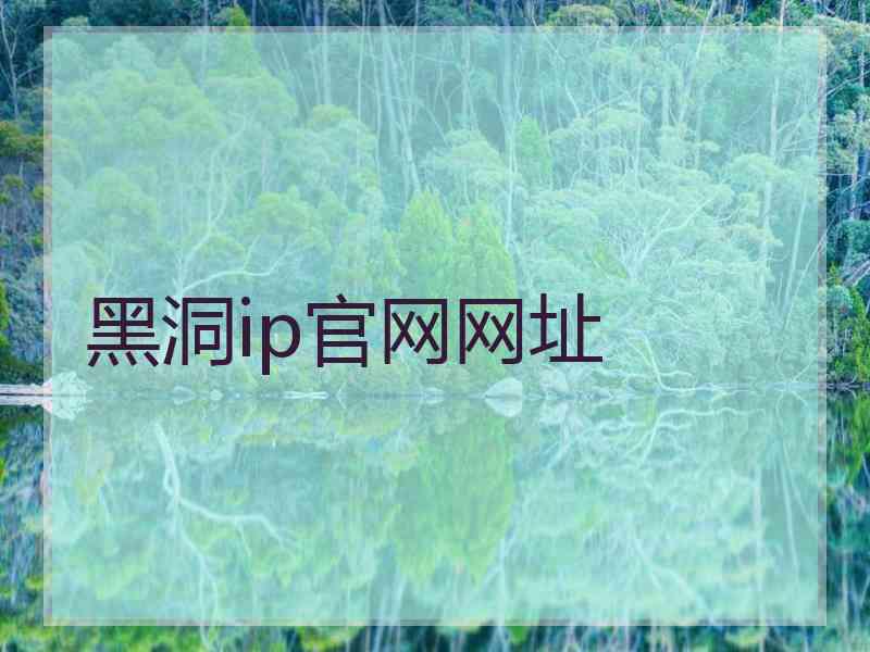 黑洞ip官网网址