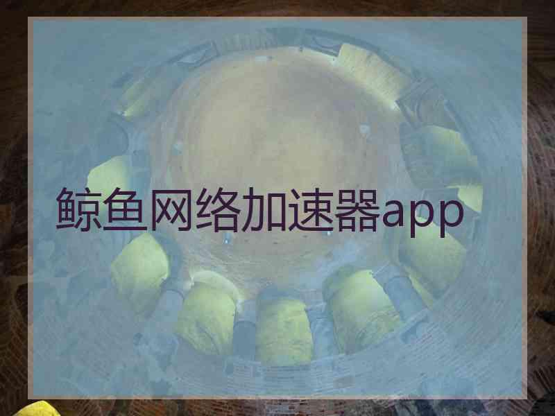 鲸鱼网络加速器app