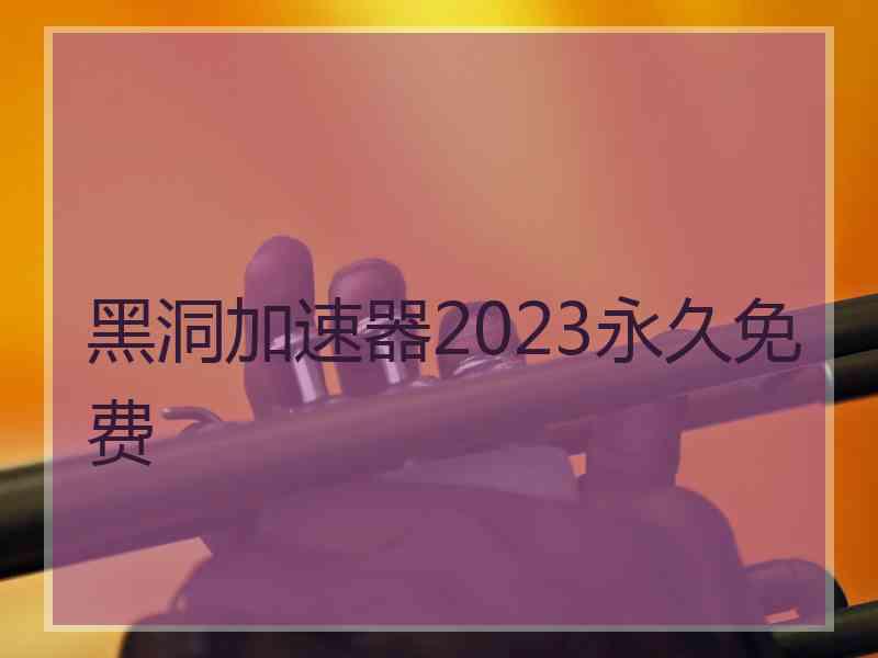 黑洞加速器2023永久免费